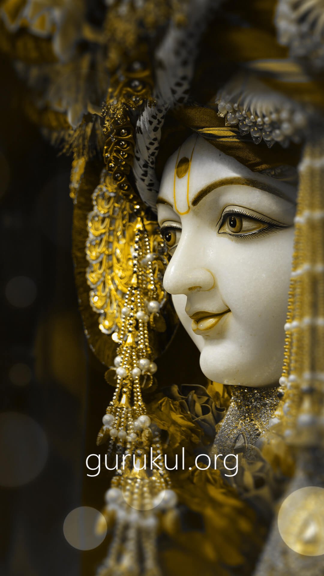 Mobile Wallpaper of Swaminarayan