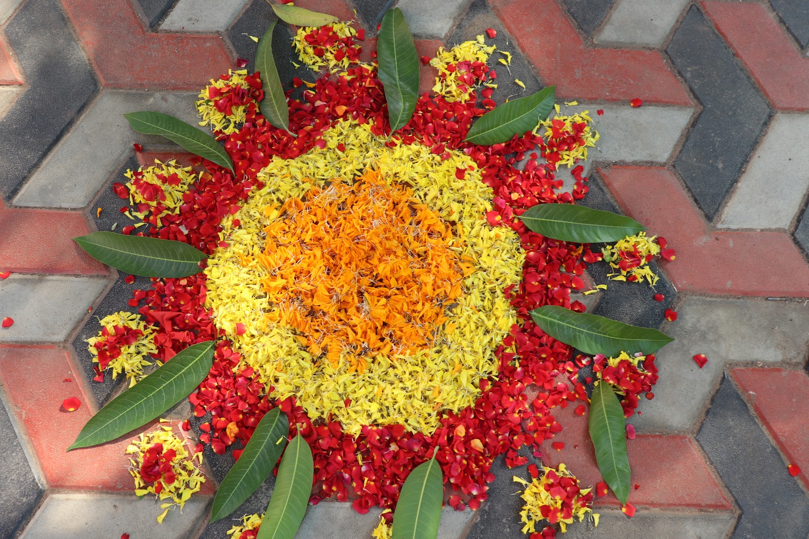 NATURE CAMPUS REOPENING DAY