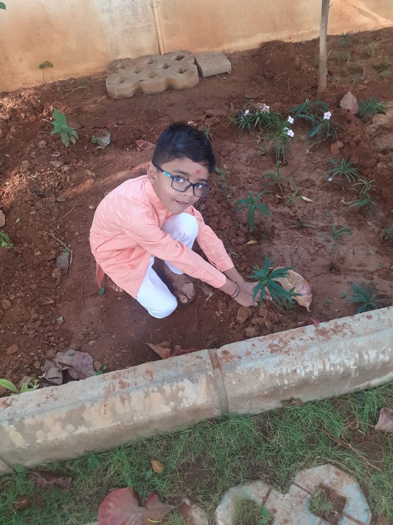 Home Tree Plantation