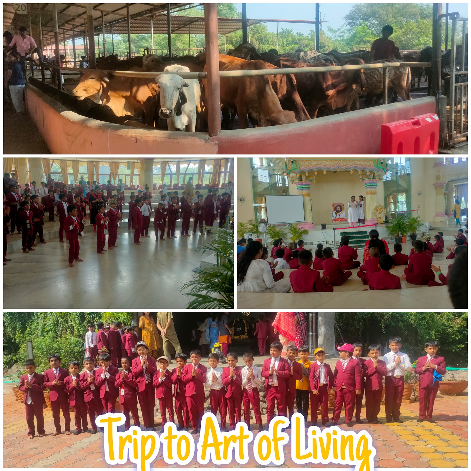 Trip to  Art of Living