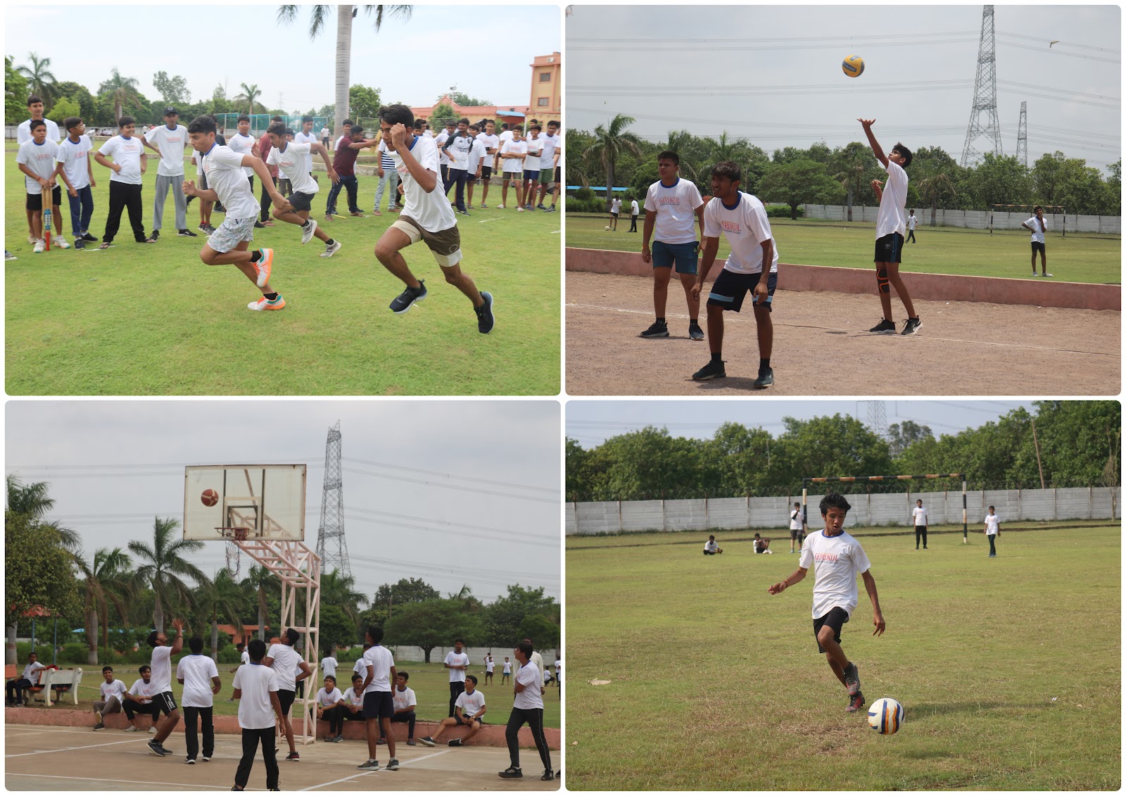 Joyous June Month Celebration