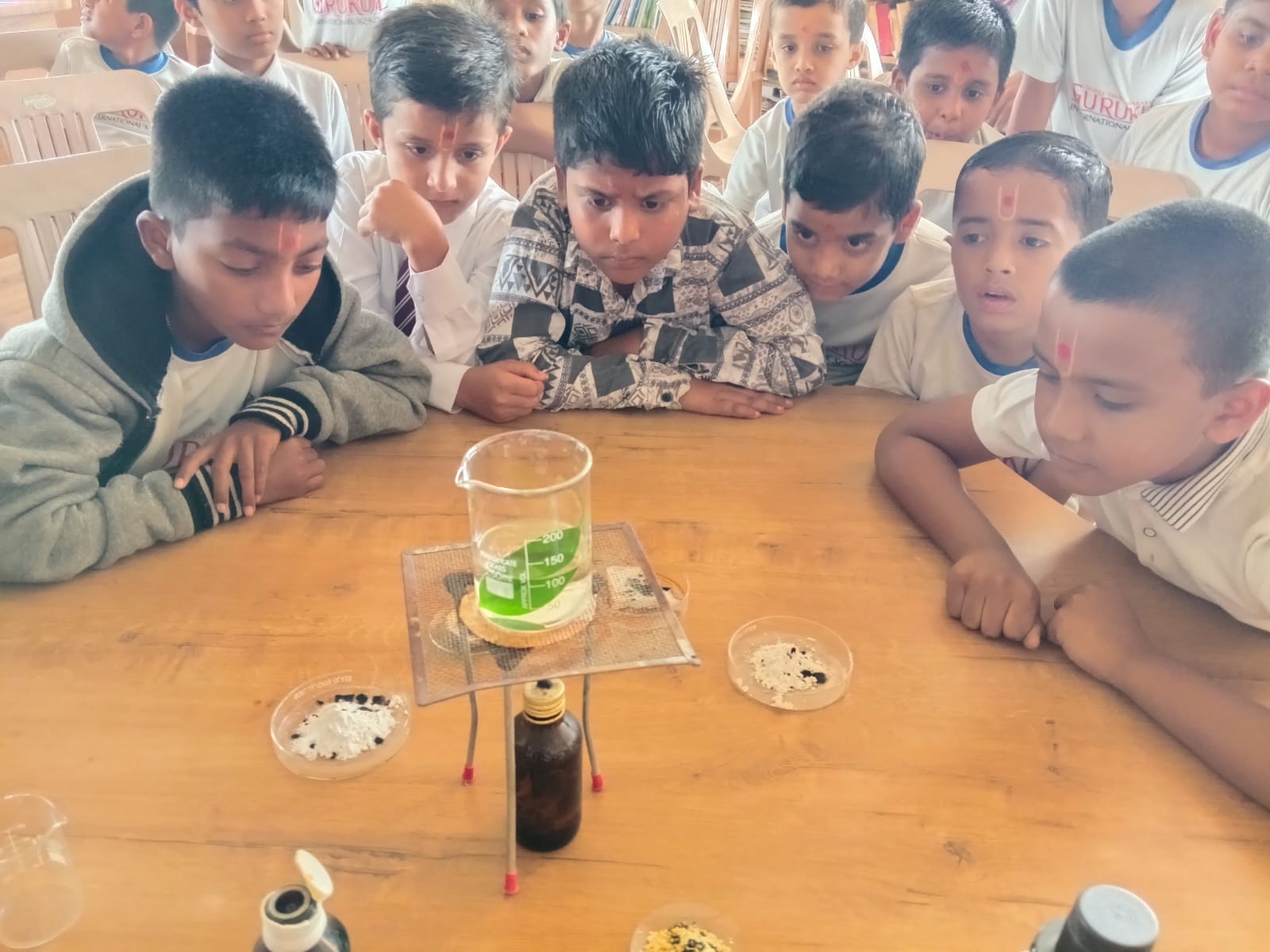 Exploring Germination and Starch Test Made Easy