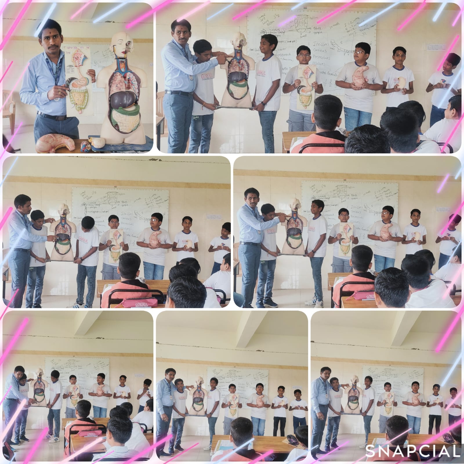 Photosynthesis and Starch Detection